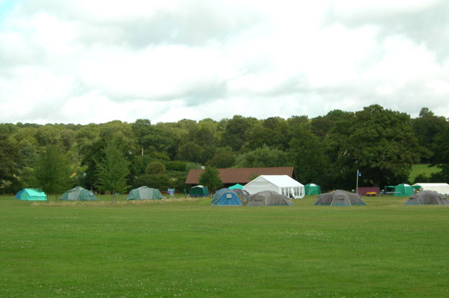 Willow Tree's Campsites