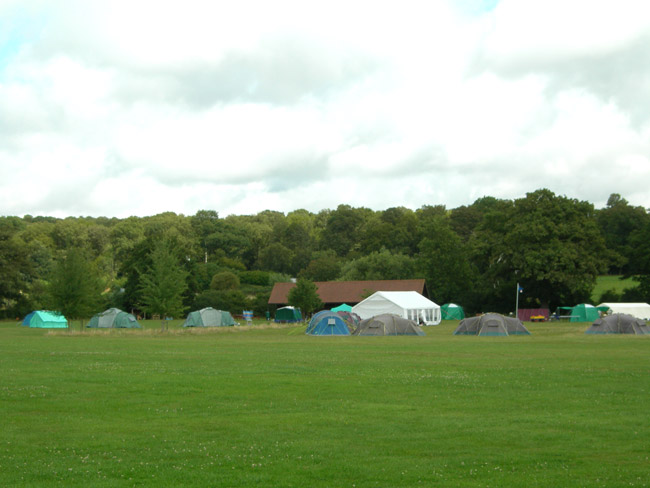 willow tree campsite